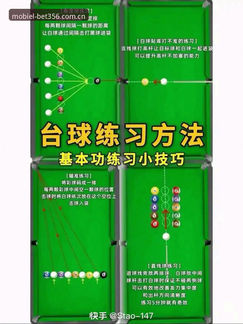 bet356体育娱乐投注教程使用技巧：从入门到精通的完整操作指南